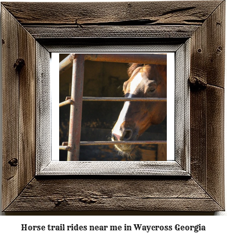 horse trail rides near me in Waycross, Georgia